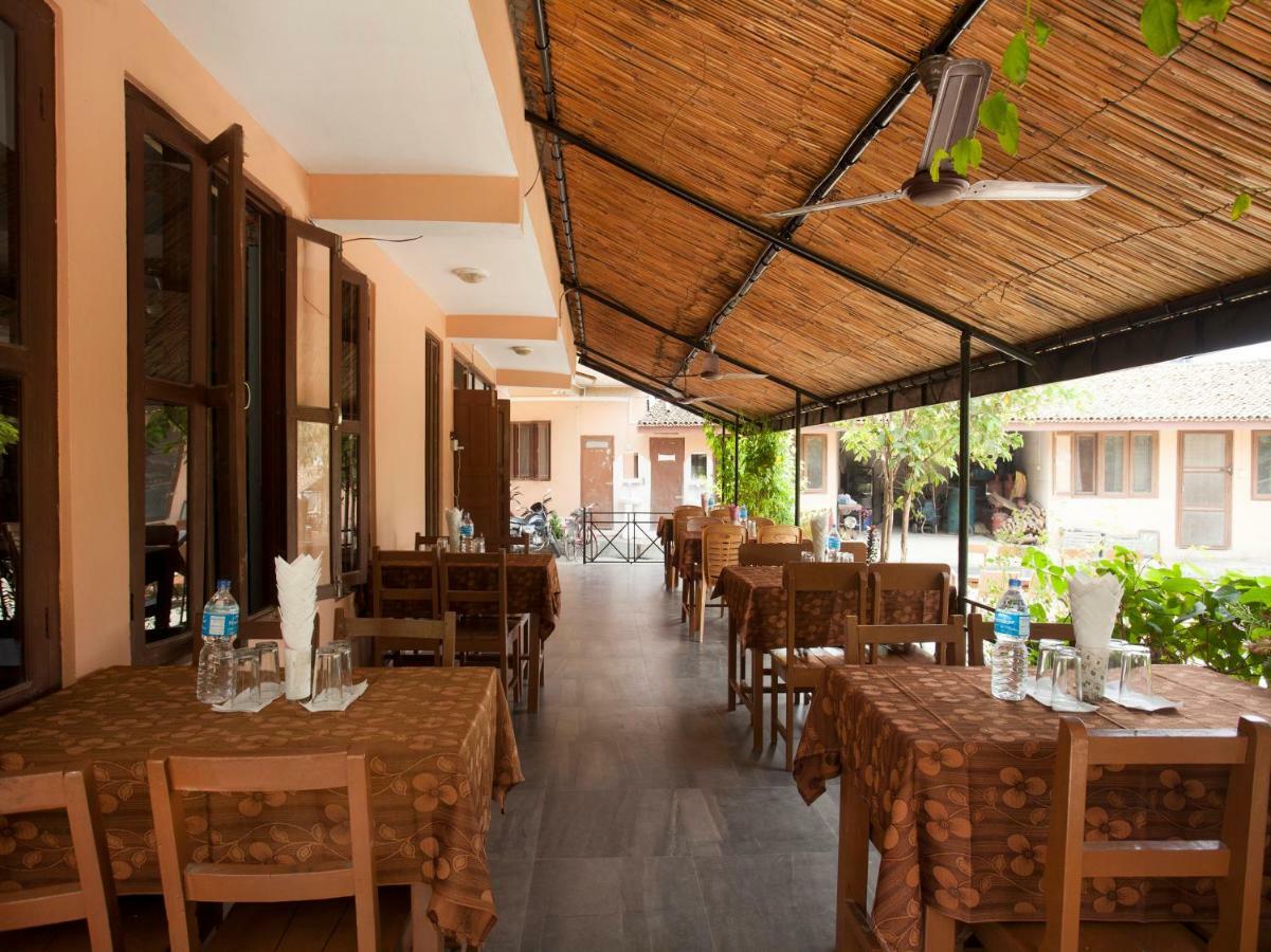 Spot On 486 Hotel Holy Lodge Sauraha Exterior foto